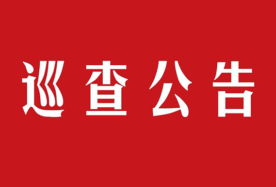 巡察公告